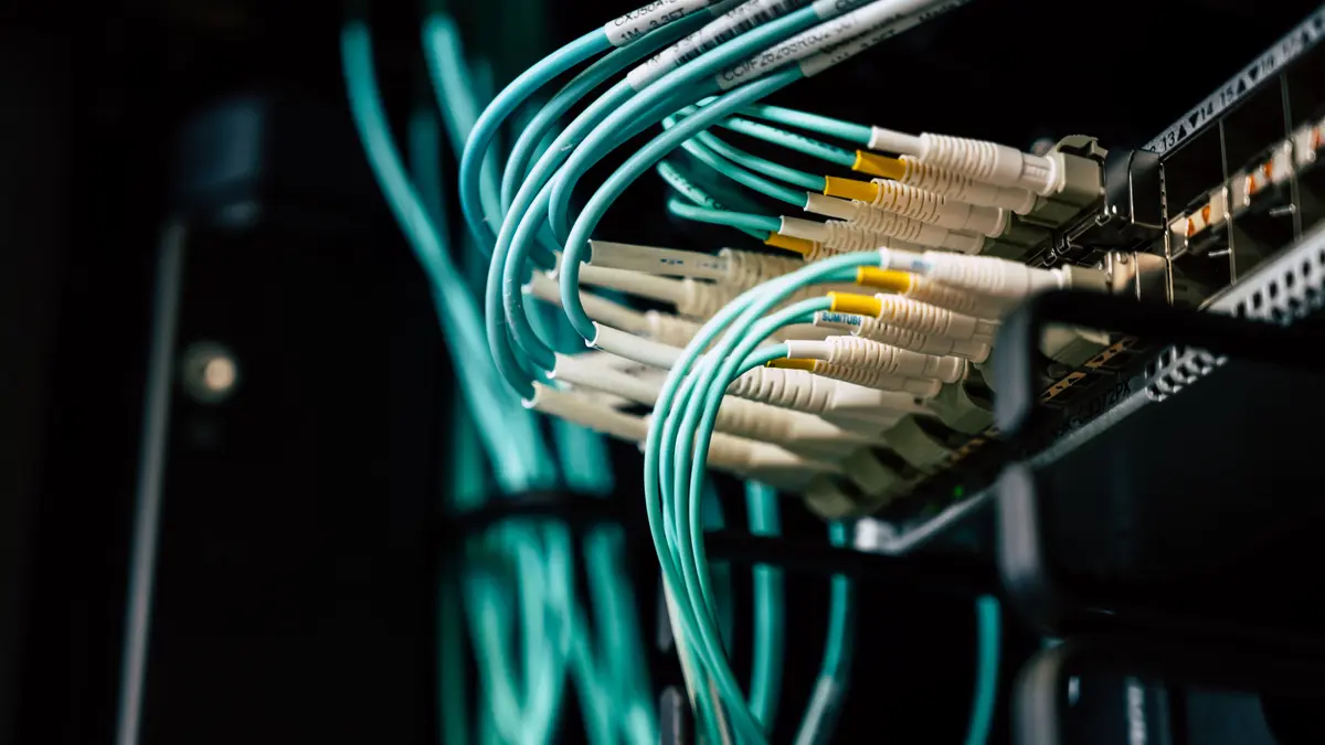 Fiber optic patch cables plugged into a server rack